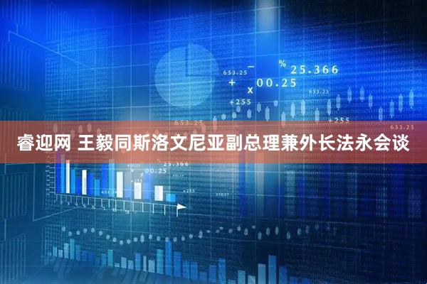 睿迎网 王毅同斯洛文尼亚副总理兼外长法永会谈
