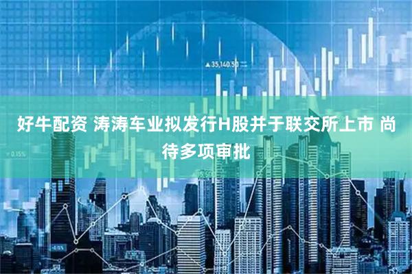 好牛配资 涛涛车业拟发行H股并于联交所上市 尚待多项审批