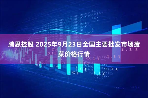 腾思控股 2025年9月23日全国主要批发市场菠菜价格行情
