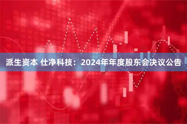 派生资本 仕净科技：2024年年度股东会决议公告