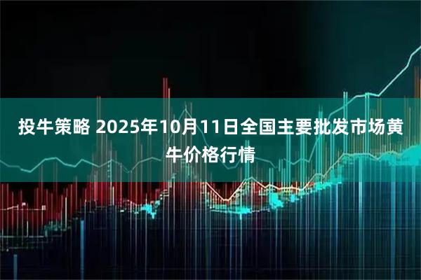 投牛策略 2025年10月11日全国主要批发市场黄牛价格行情