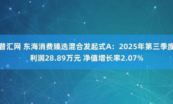 普汇网 东海消费臻选混合发起式A：2025年第三季度利润28.89万元 净值增长率2.07%
