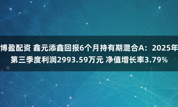 博盈配资 鑫元添鑫回报6个月持有期混合A：2025年第三季度利润2993.59万元 净值增长率3.79%