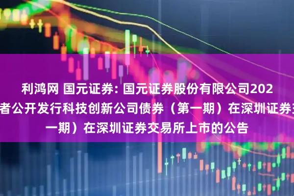 利鸿网 国元证券: 国元证券股份有限公司2025年面向专业投资者公开发行科技创新公司债券（第一期）在深圳证券交易所上市的公告
