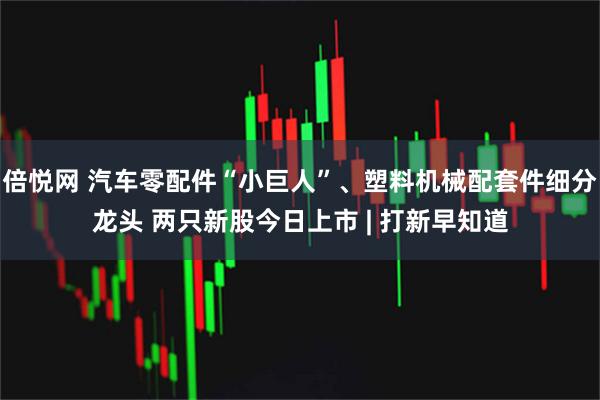 倍悦网 汽车零配件“小巨人”、塑料机械配套件细分龙头 两只新股今日上市 | 打新早知道
