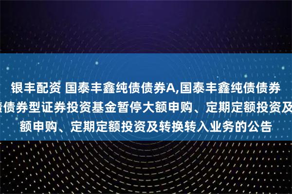 银丰配资 国泰丰鑫纯债债券A,国泰丰鑫纯债债券C: 关于国泰丰鑫纯债债券型证券投资基金暂停大额申购、定期定额投资及转换转入业务的公告