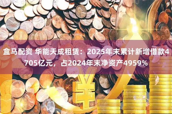 盒马配资 华能天成租赁：2025年末累计新增借款4705亿元，占2024年末净资产4959%