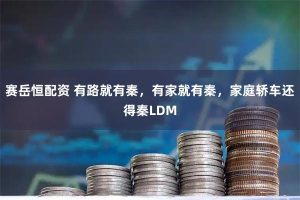 赛岳恒配资 有路就有秦，有家就有秦，家庭轿车还得秦LDM